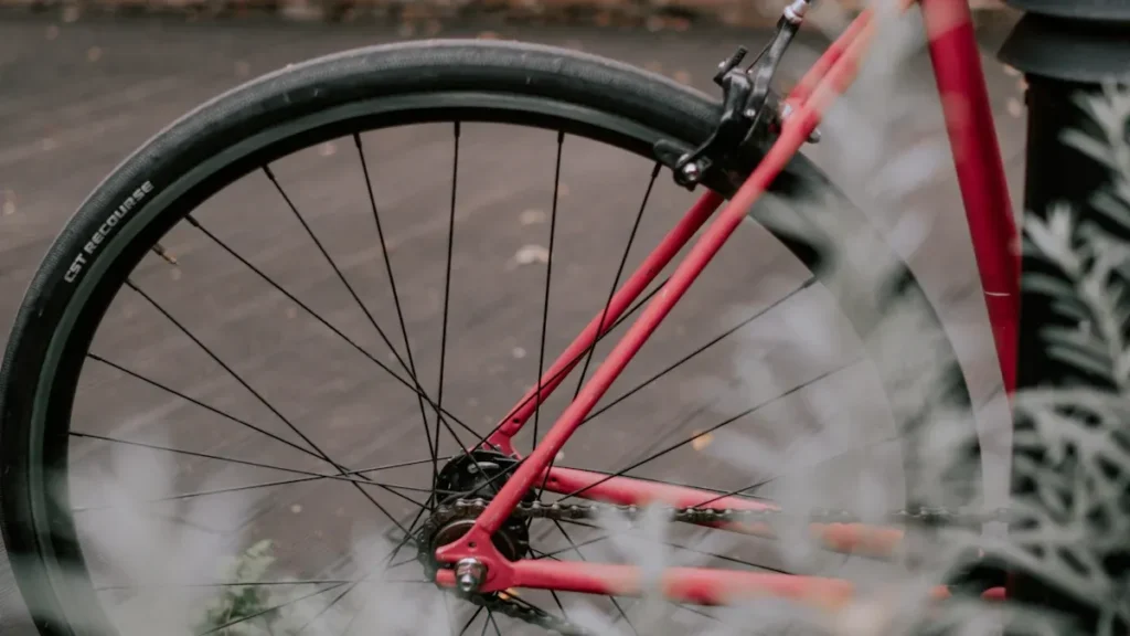 How Long Can You Expect Your Alloy Bike Frame to Last