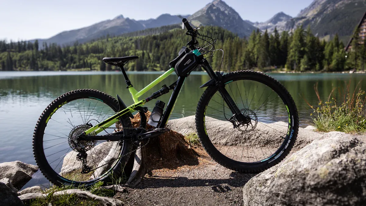 Steel Mountain Bike Frame Pros