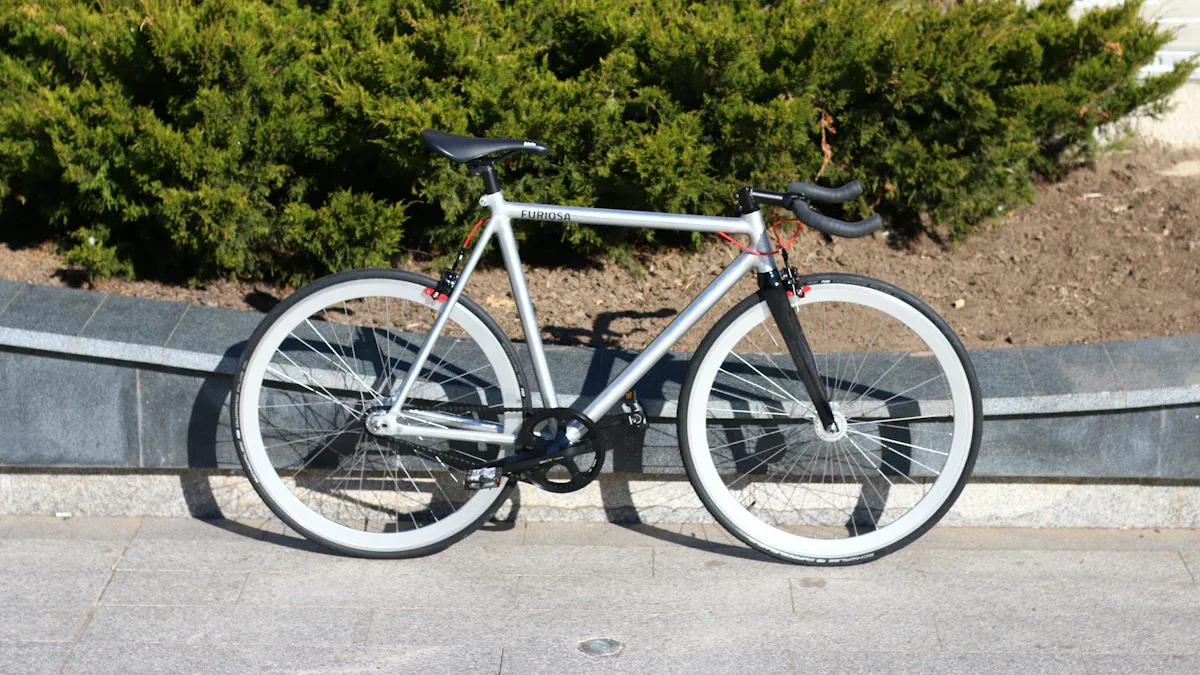 Modern Single Gear Bike Frame