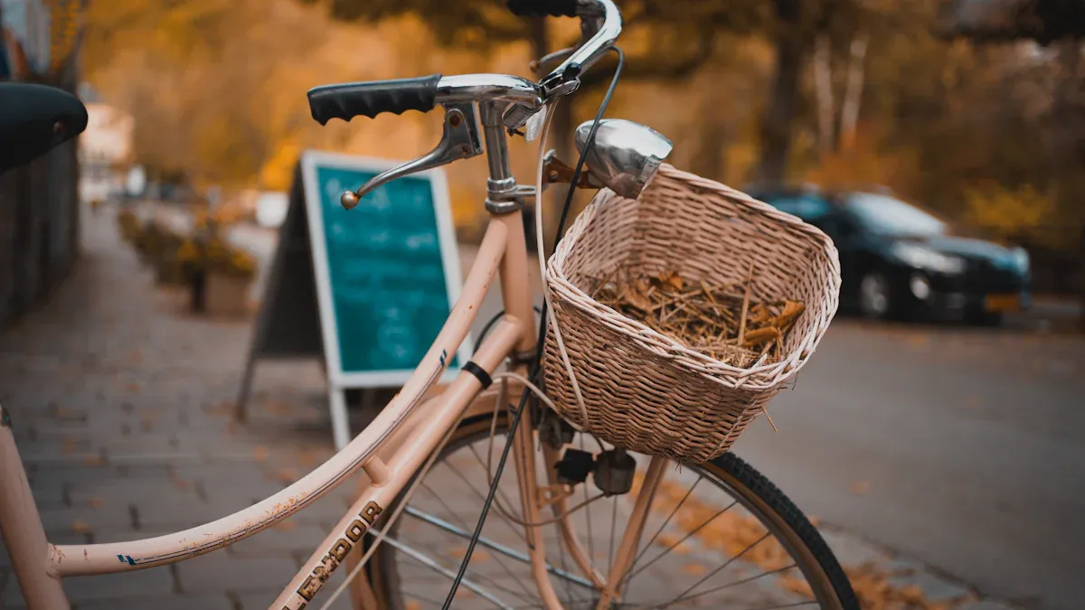 Step Through Frame Bike Basics