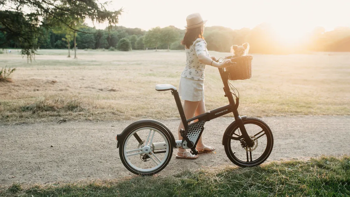 Where to Buy a Bike Folding Frame