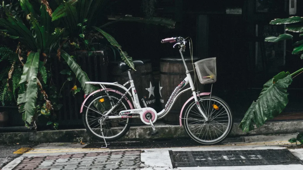What Makes a Mixte Bike Frame Unique
