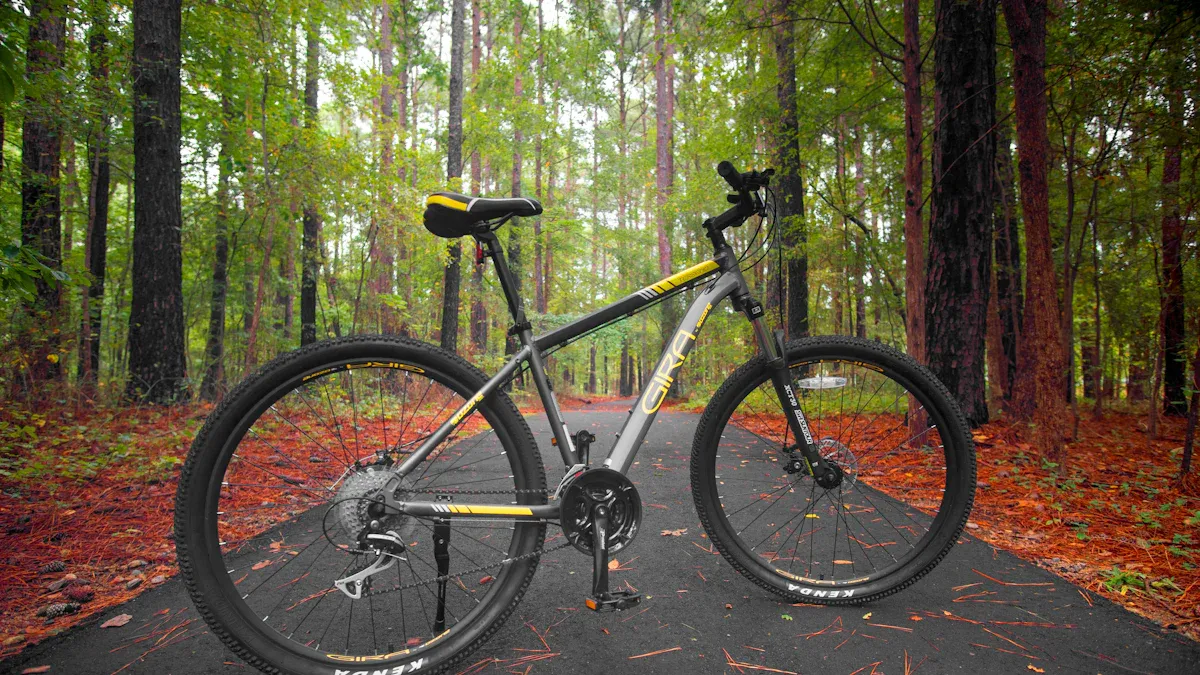 Mountain Bike Geometry Basics