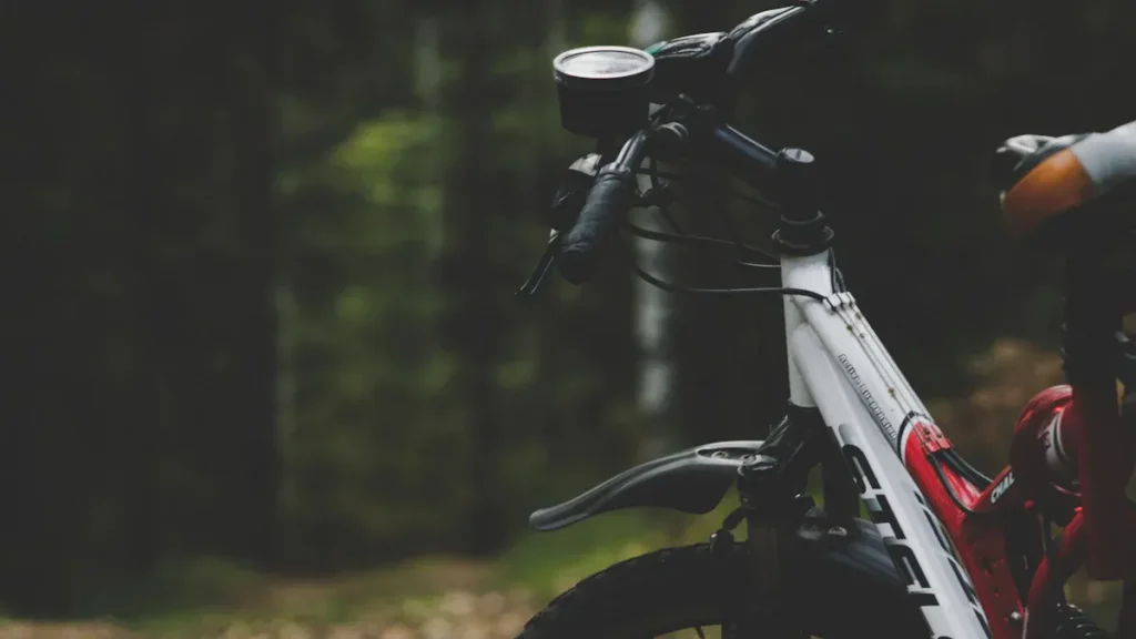 Discover the Best Touring Bike Frames of 2025