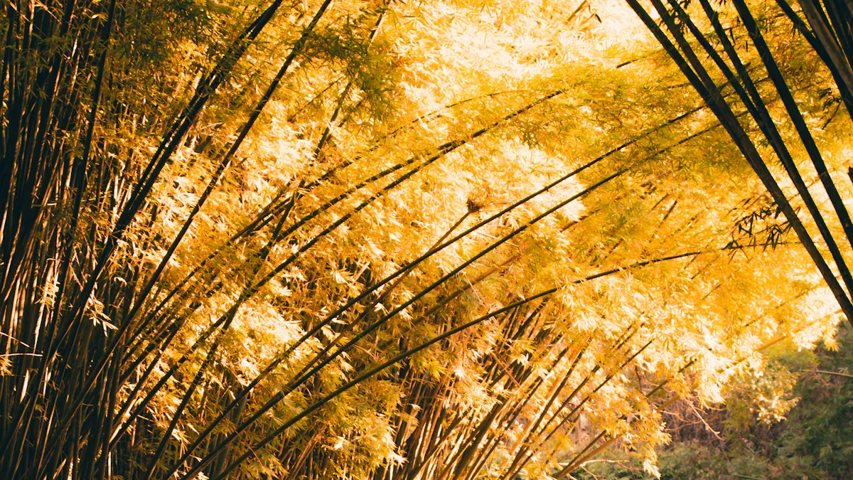 Overview of Bamboo Bikes