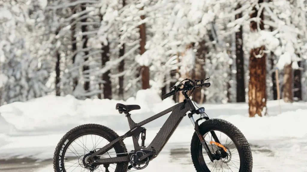 Top Fat Bike Frames of 2025 You Need to Know
