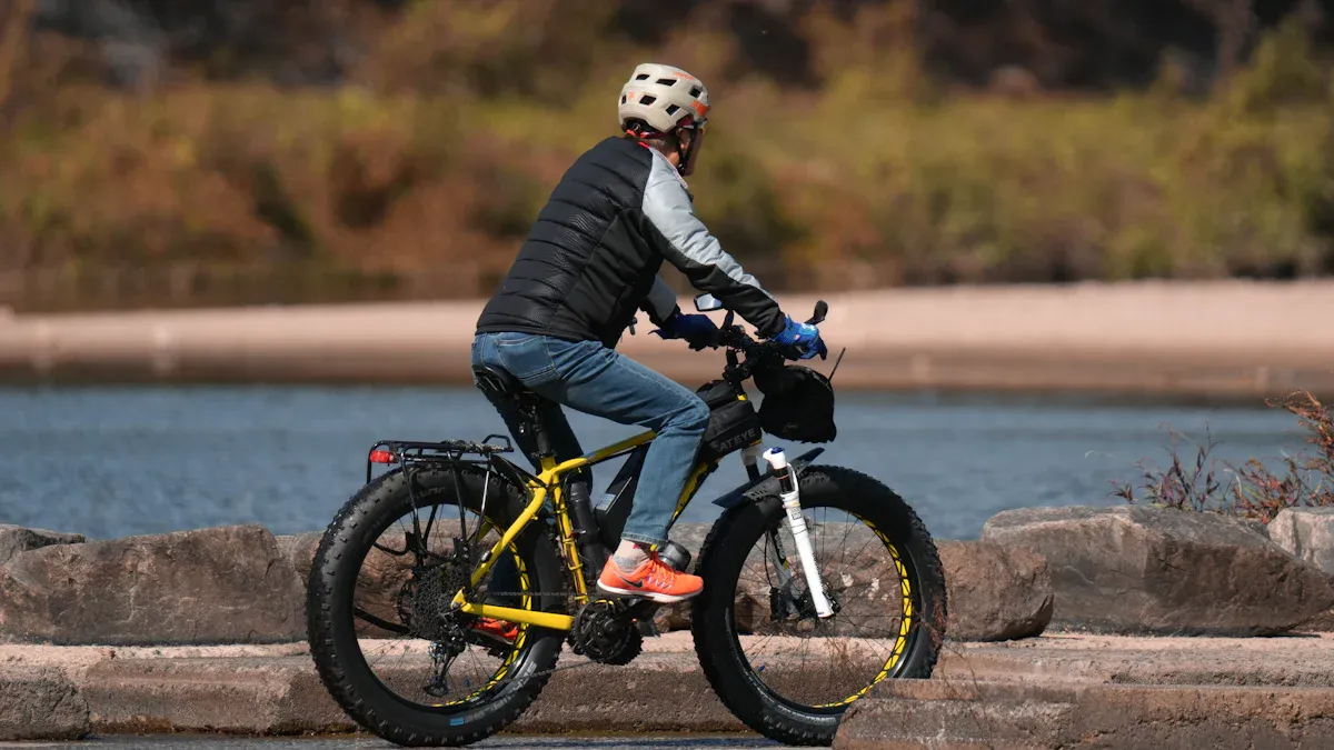 Best Fat Bike Frame