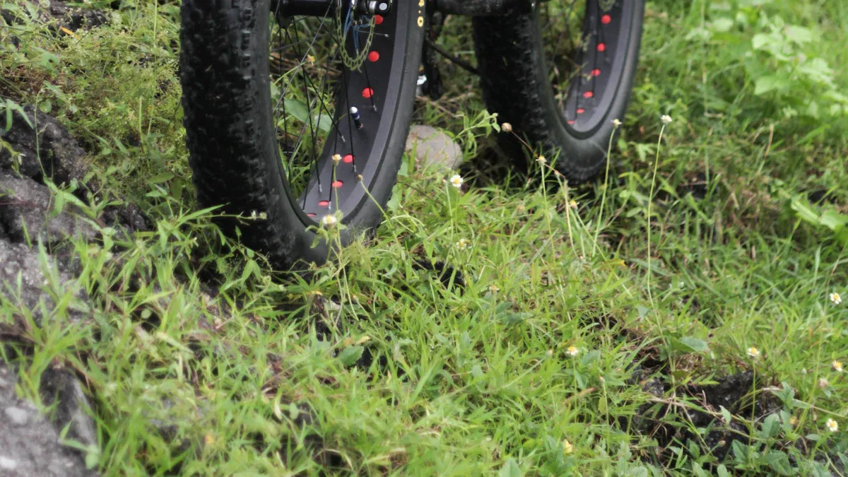 Fat Bike Frames and Mountain Bike Frames What Sets Them Apart