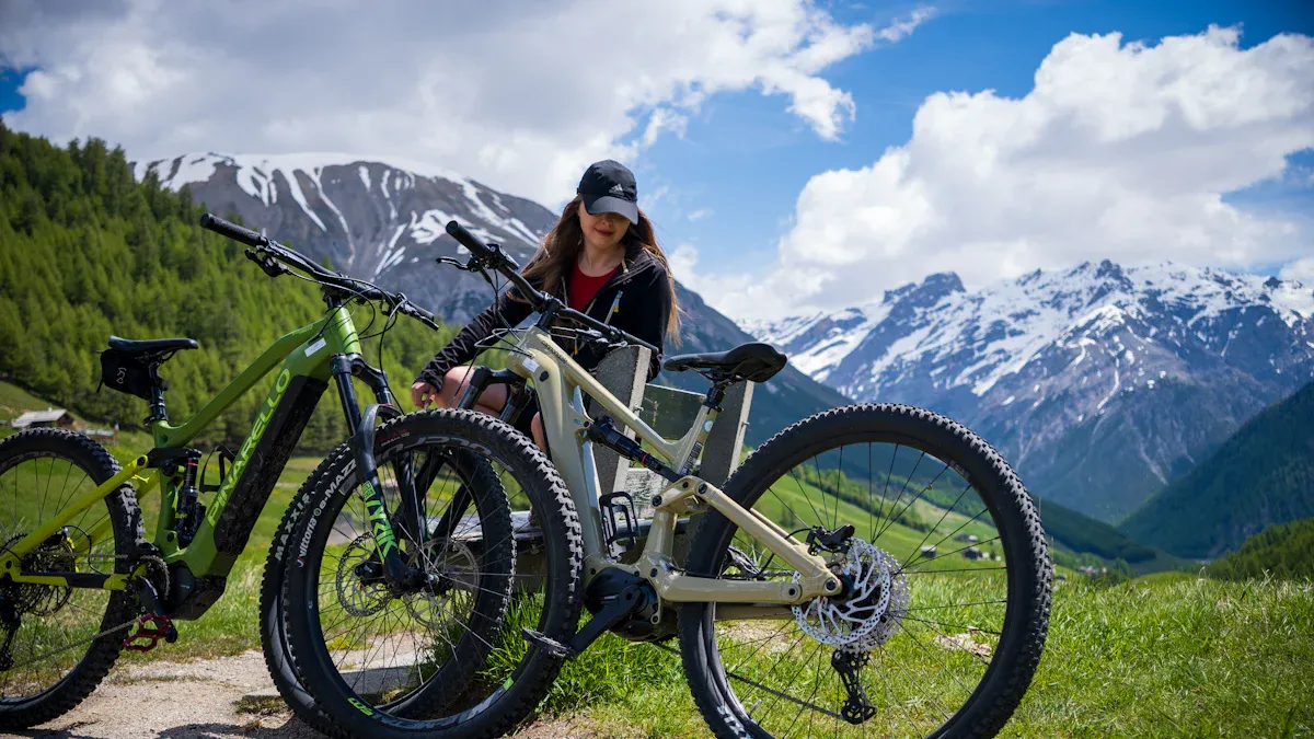 Comparing Mountain Bike Frames