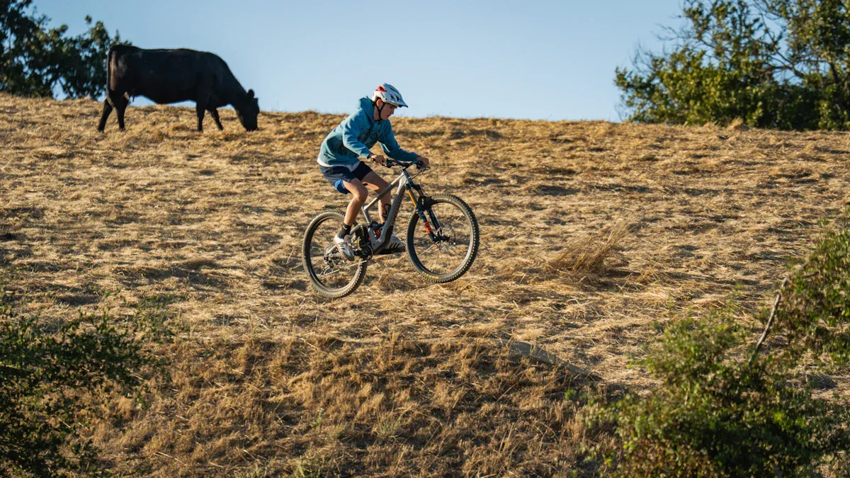 Best Carbon Road Bike Frames for Endurance