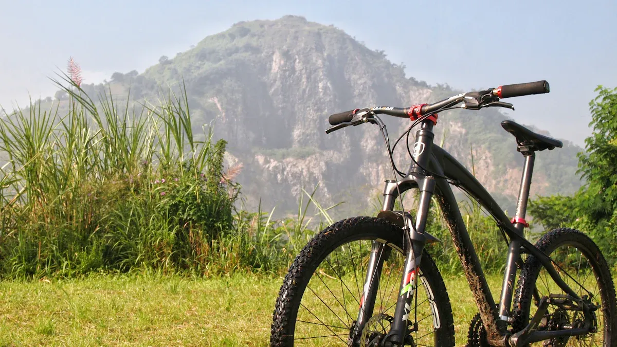 Comparison of Custom Mountain Bike Frames