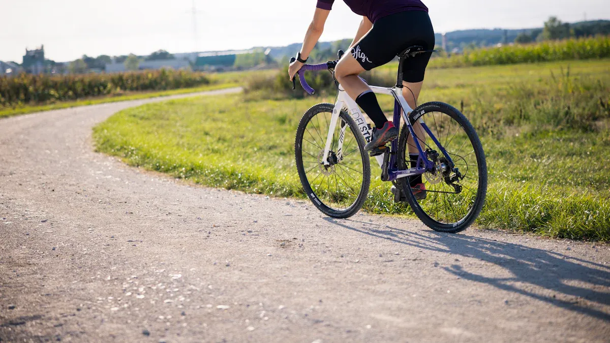 Best Overall Alloy Frame Road Bike