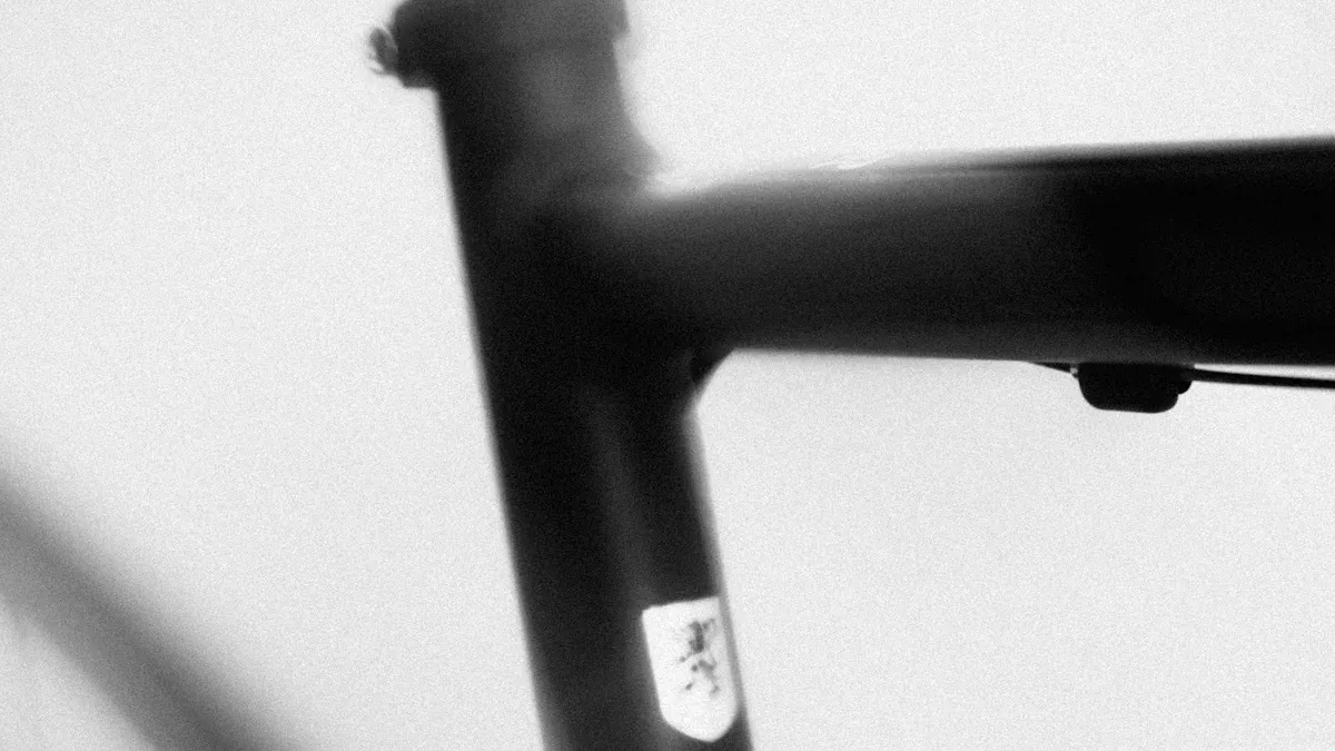 Carbon Frame Durability