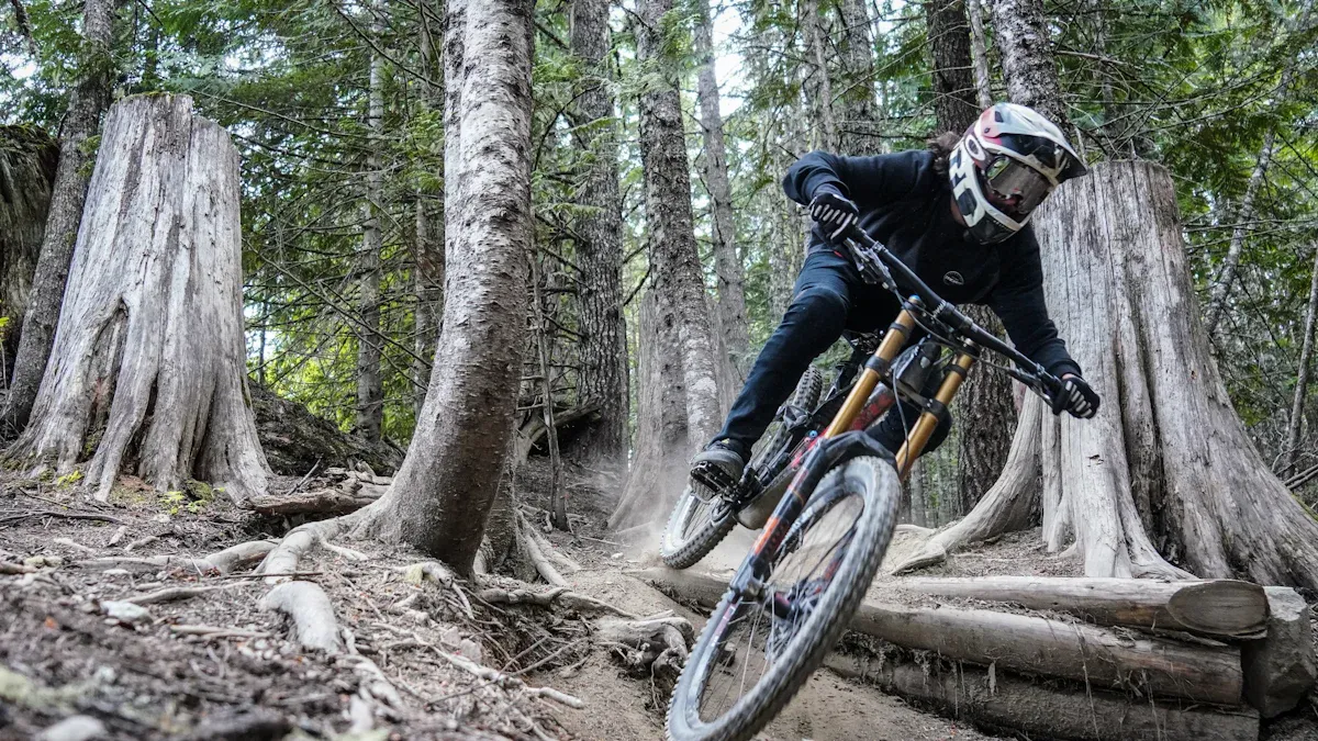 Top Full Carbon Mountain Bike Frames