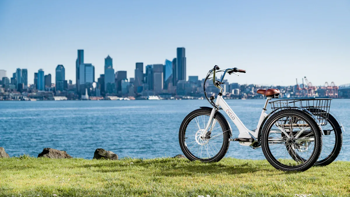 Top Long Tail Bike Frames for Cargo in 2025