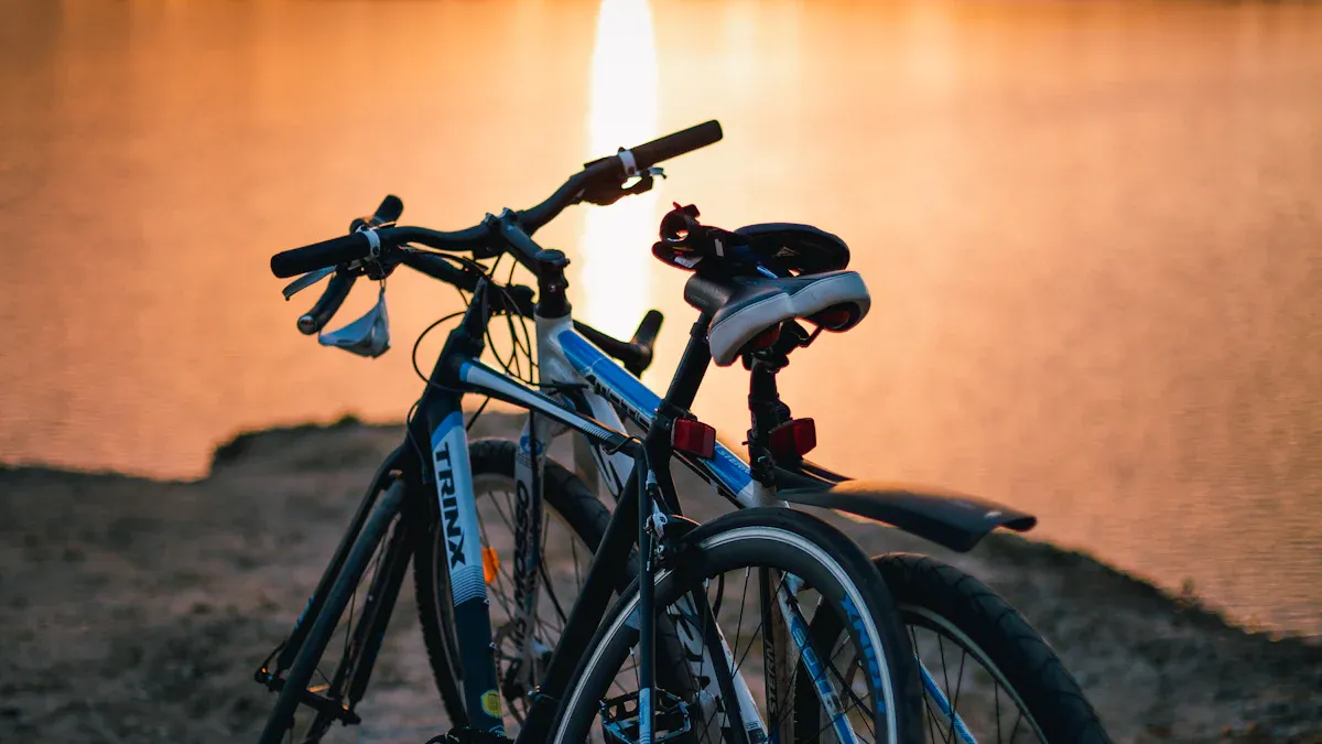 Premium Bike Frame Overview