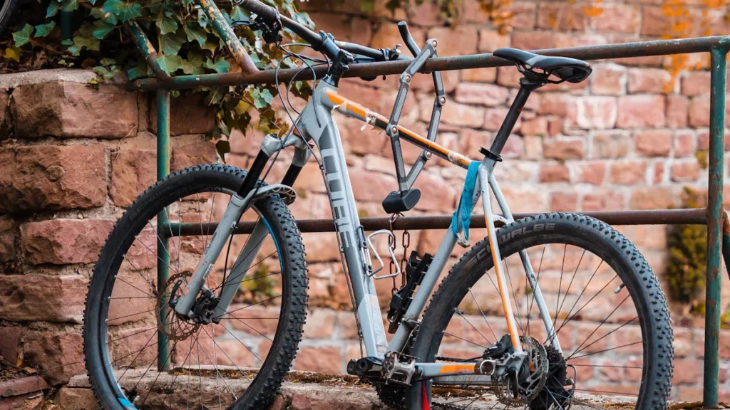 Understanding the Various Mountain Bike Frame Shapes