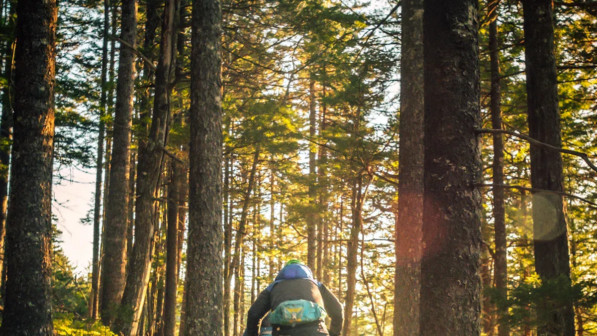 Best Folding Mountain Bikes for Adventure Seekers