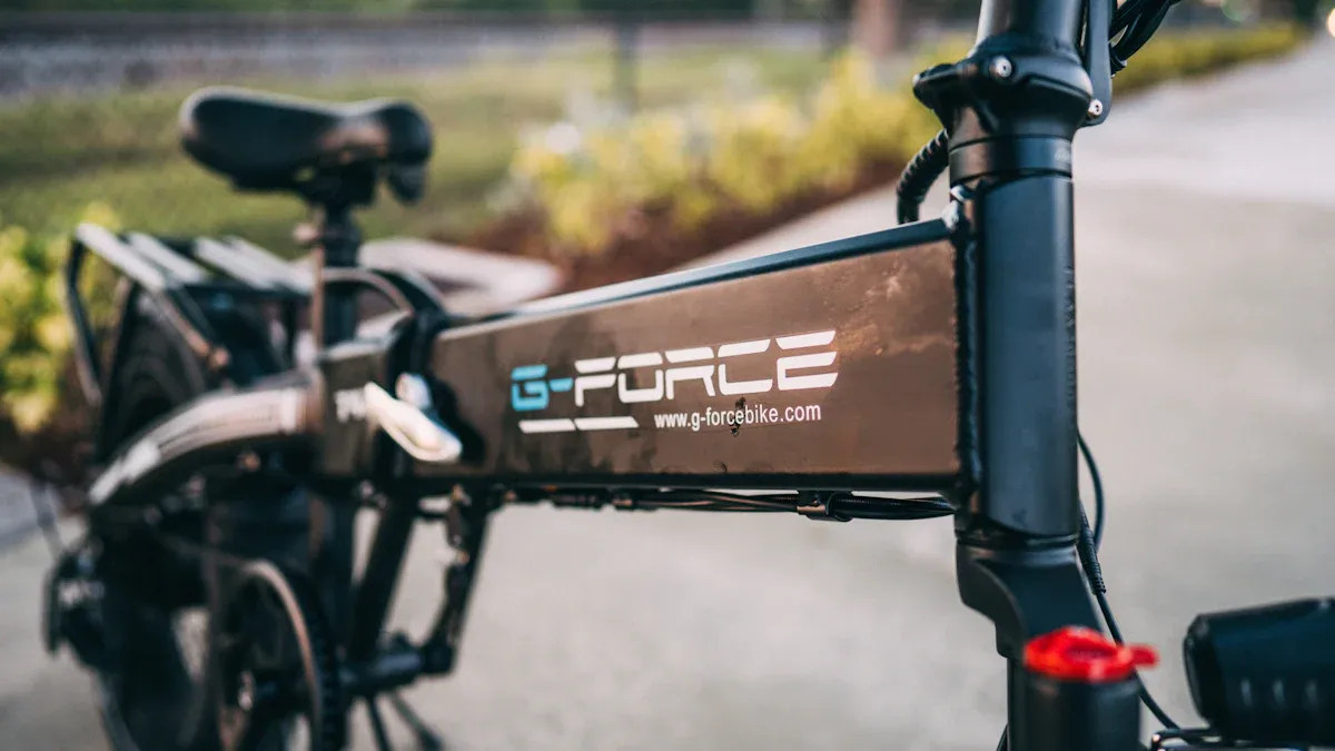 Overview of Folding Bike Carbon Frame