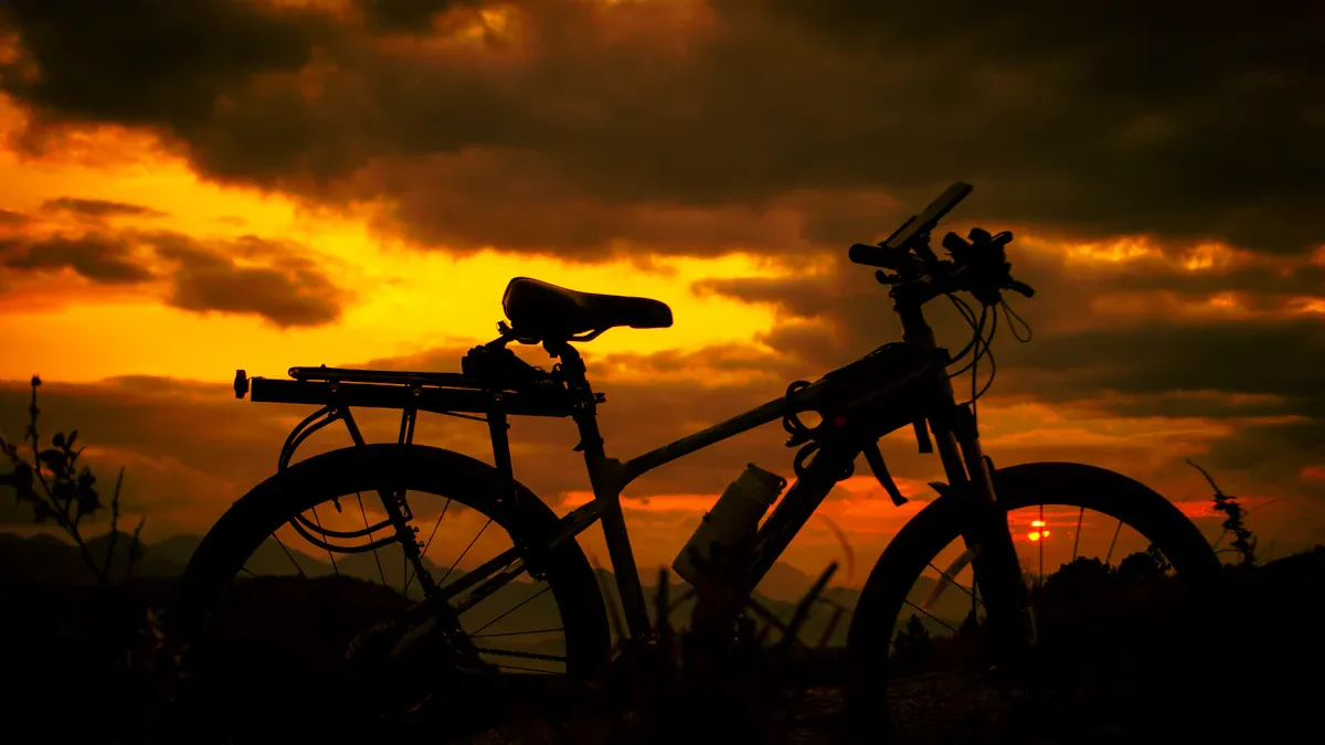 Comparison of Carbon Folding Bike Frames