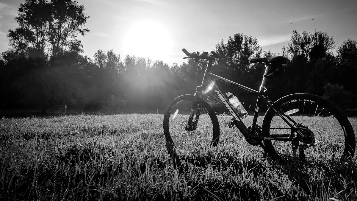 Top 29er China MTB Frames