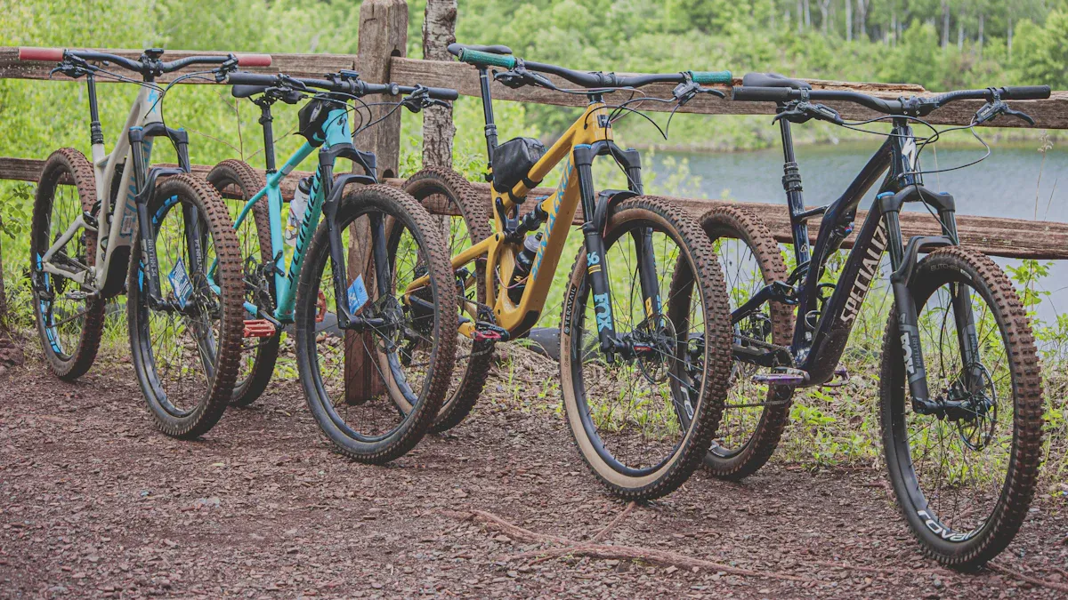 Key Features of Budget Mountain Bike Frames